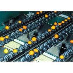 Agri-food industry Example 3