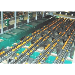 Agri-food industry Example 4