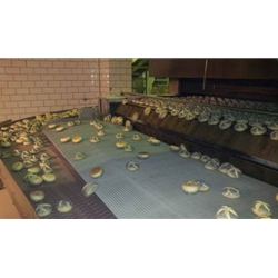 Food Baking Ovens 03